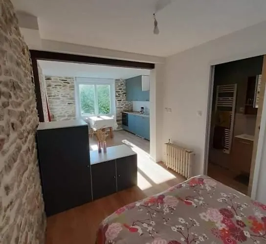 Superbe studio, avec cuisine et espace extérieur